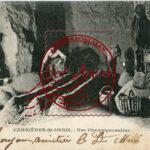 Carrières St Denis - Une Champignonnière