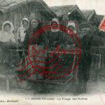 Gujan- Le Triage des Huitres