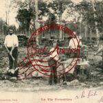 Bucheron - La Vie Forestière