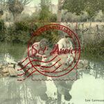 Laveuse - Les Laveuses
