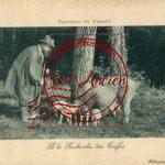 Trufficulteur - A la Recherche des Truffes