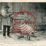 Comme i l é jolit - Truffier
