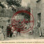 Beurre - Le Barattage du lait pour la Fabrication du Beurre