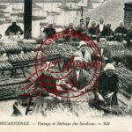 Douarnenez- Etetage et séchage des Sardines