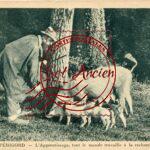En Périgord - L' Apprentissage