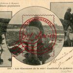 Glaneuses- les Glaneuses de la Mer ! Cueillette du Goemon