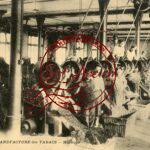 Lyon - Manufacture des Tabacs - Hachage