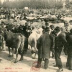 Bourg - La Foire