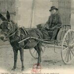 Limoise - Bourrique bourbonnaise et son conducteur