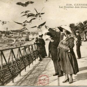 Alpes Maritimes (06)