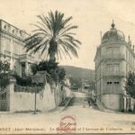 Cannet (le) - Avenue de Vallauris