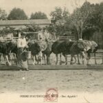 Nice - Ferme d'Autruches - Bon appétit