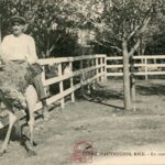 Nice - Ferme d'Autruches - En route pour le Grand Prix