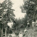 Louvesc (la) - Une allée du bois de Versailles