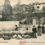Aurillac - Un coin du marché aux moutons