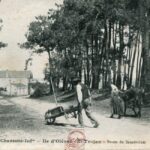 Ile d'Oléron - St Trojan