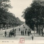 Dijon - Allée du Parc