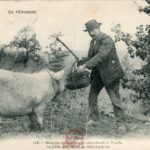 Groupe sympathique cherchant la truffe