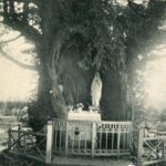 La Haye de Routot - If au cimetière