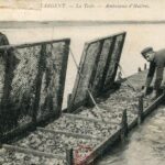 Teste (la) - Ambulance d'huîtres