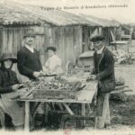 Arcachon- Types du Bassin