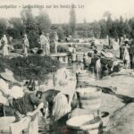 Montpellier- Lavandières sur les Bords du Lez