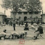 Moulin - Place aux Foires