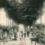 Ballan - Avenue des Acacias