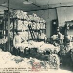 Ganterie, magasin de peaux