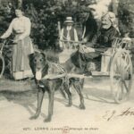 Lorris - Attelage de chiens