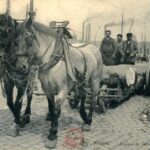 Anvers - Chevaux de Corporations