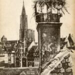 Strasbourg - Les cigognes