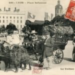 Place Bellecour - Voiture aux chèvres