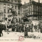 Place des Terreaux - Pigeons apprivoisés