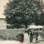 St Cyr au Mont d'Or - La terrasse et le restaurant de l'Ermitage