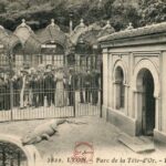 Parc Tête d'Or - Les crocodiles