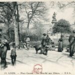 Place Carnot - Le Marché aux chiens