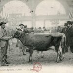 Concours agricole, le jury