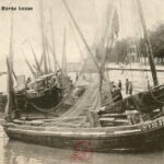 Le Crotoy - Marée basse