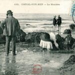 Onival sur Mer - La Moulière
