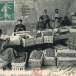Moissac - Atelier d'expédition du Chasselas