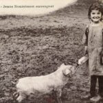 Jeune Nourisson Auvergnat