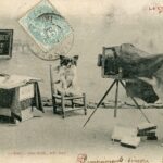 Le Chien Photographe