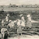 Les Sables d'Olonne- Pêcheurs de Coquillages