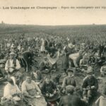 Les vendanges en Champagne Repas des Vendengeurs