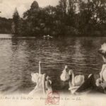 Parc Tête d'Or - Promenade sur le lac