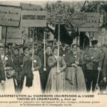 Troyes - Manifestation des Vignerons . Pancartes