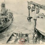 Marine Nationale - Embarquement d'un boeuf