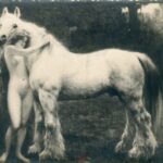 Salon de Paris- Bon Amis