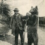 Un Ours du Pays
